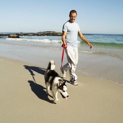 A man walks his dog on the beach.