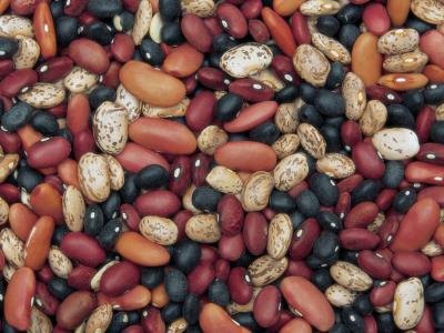 Beans are low calorie and high protein.