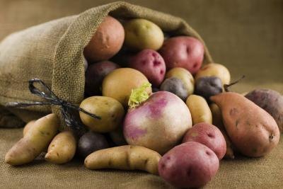 Potato bag