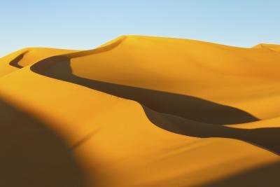 the Sahara is the world's largest desert