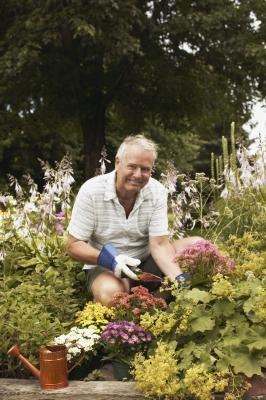 Man gardening Man gardening