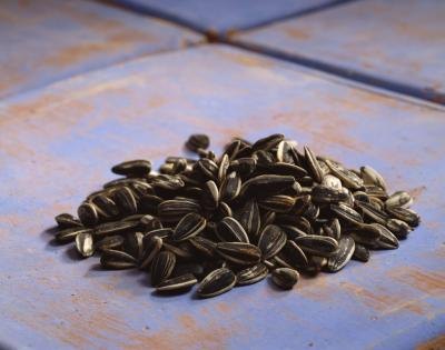 Are Sunflower Seeds Bad for You? Are Sunflower Seeds Bad for You?