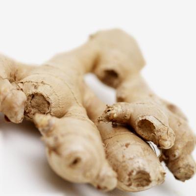 Ginger