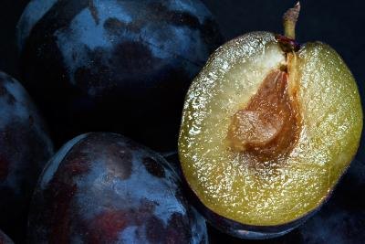 Cross section of a prune