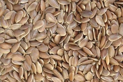 close up of flax seeds