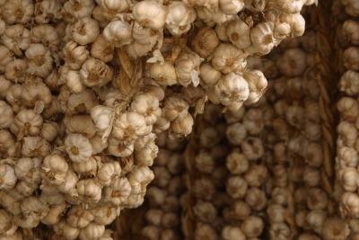 Garlic cloves