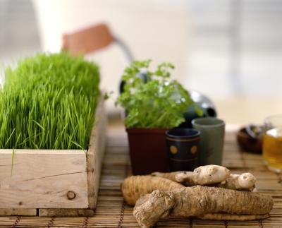 Consider herbs.