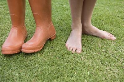 St. Augustine grass is not as tolerant to heavy foot traffic as other grass species. St. Augustine grass is not as tolerant to heavy foot traffic as other grass species.