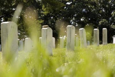 Check the competition in your area, and pinpoint the cemetery businesses near you.