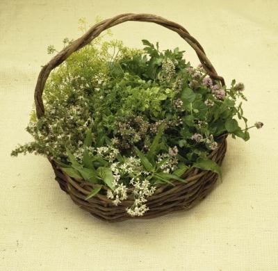 Fresh herbs