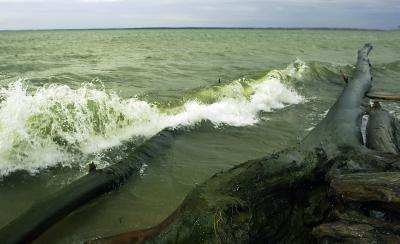 Ecosystems along the coastal lines are often severly damaged.