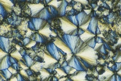 Sodium Silicate crystals magnified 200x.