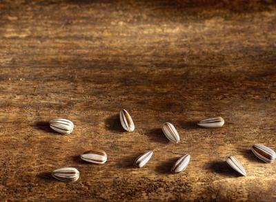 Sunflower seeds are very high in vitamin E.