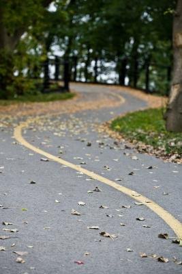 Asphalt is the most commonly found accessible surface serving the needs of those on wheels and on foot.