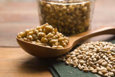 Spoon of wheat germ