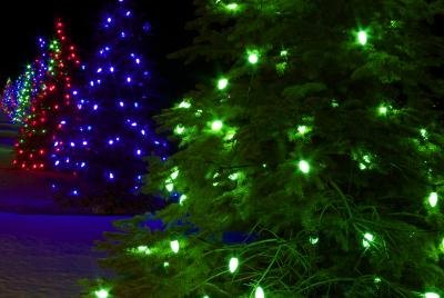 what do blue holiday lights mean with pictures ehow what do blue holiday lights mean with pictures ehow