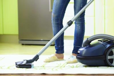Vacuum any fleas you find.