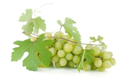 Bunch of green grapes. Bunch of green grapes.