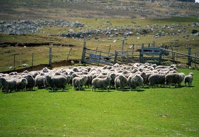 Port stanley, Falkland Islands
