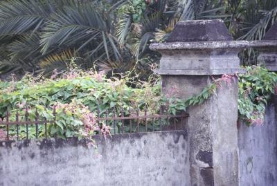 A structure will change the vertical aspect of the garden.