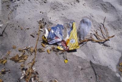 Plastic bottles take a long time to break down.