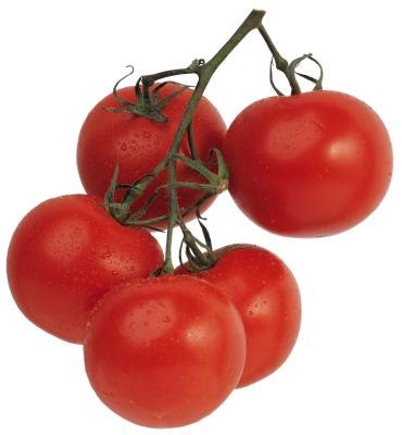 Tomatoes are on the above list of low-carb veggies.