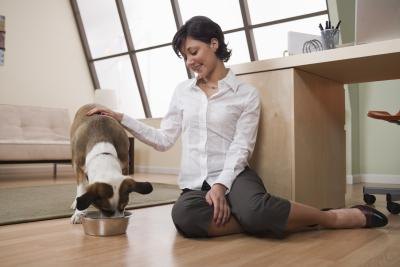 Over the course of three weeks, slowly decrease the amount of water and milk replacer and increase the amount of puppy food.