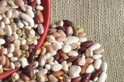 Legumes are high in protein and sulfur.