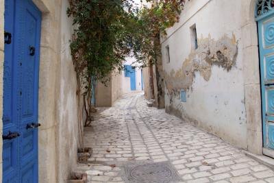 Algerian ivy growing in an alleyway