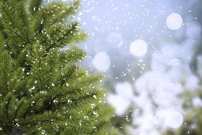 Christmas tree with snow