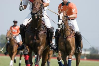 Polo match