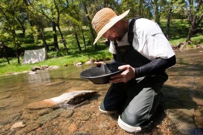 Man pans for gold in Wolf Creek in Jamestown, CA. Man pans for gold in Wolf Creek in Jamestown, CA.
