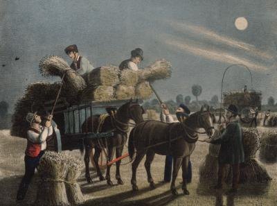 Working with horses & a cart.