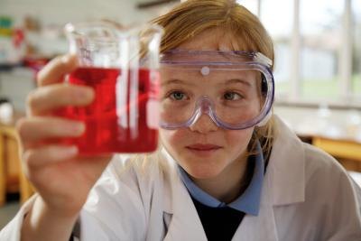 Girl looking at science project