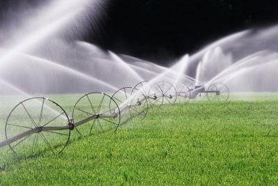 Use a rain gauge to determine how much irrigation your lawn is getting.