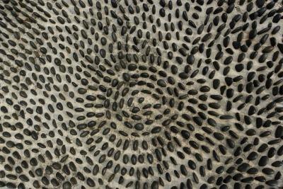 Arrange the pebbles in a geometric pattern.