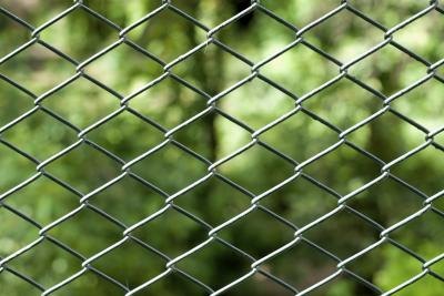 Chain link fence with green yard background