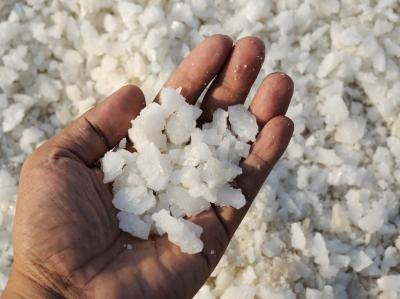 Potassium chloride is a metal halide salt. Potassium chloride is a metal halide salt.