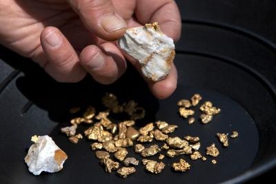 Pieces of quartz with gold and nuggets found by prospector in California