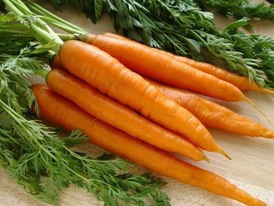 Bunch of fresh carrots