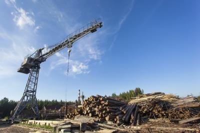 Consider having your class put together a video project about logging operations.