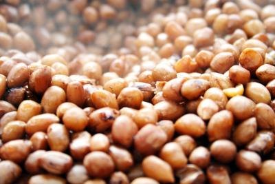 Sunflower seeds are not considered a tree nut and are used in the place of peanuts or other tree nuts in recipes.