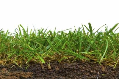 Soil and grass.