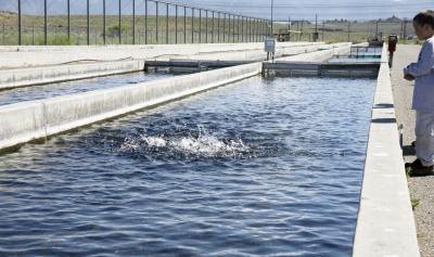 Outdoor raceway for trout fishing