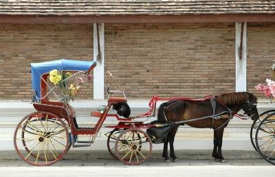 Faster, light cart.