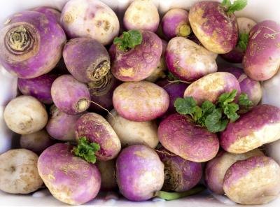 Large pile of turnips.