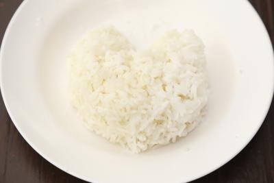 one scoop of rice on small plate