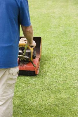 Dethatching should be done before the warmest part of the summer.