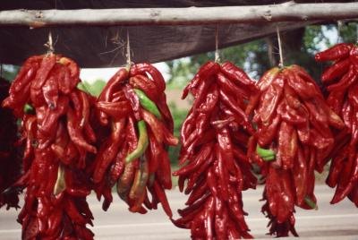 Red peppers hanging on strings.