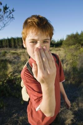 A bug house allows children a place to easily observe small, facinating creatures. A bug house allows children a place to easily observe small, facinating creatures.